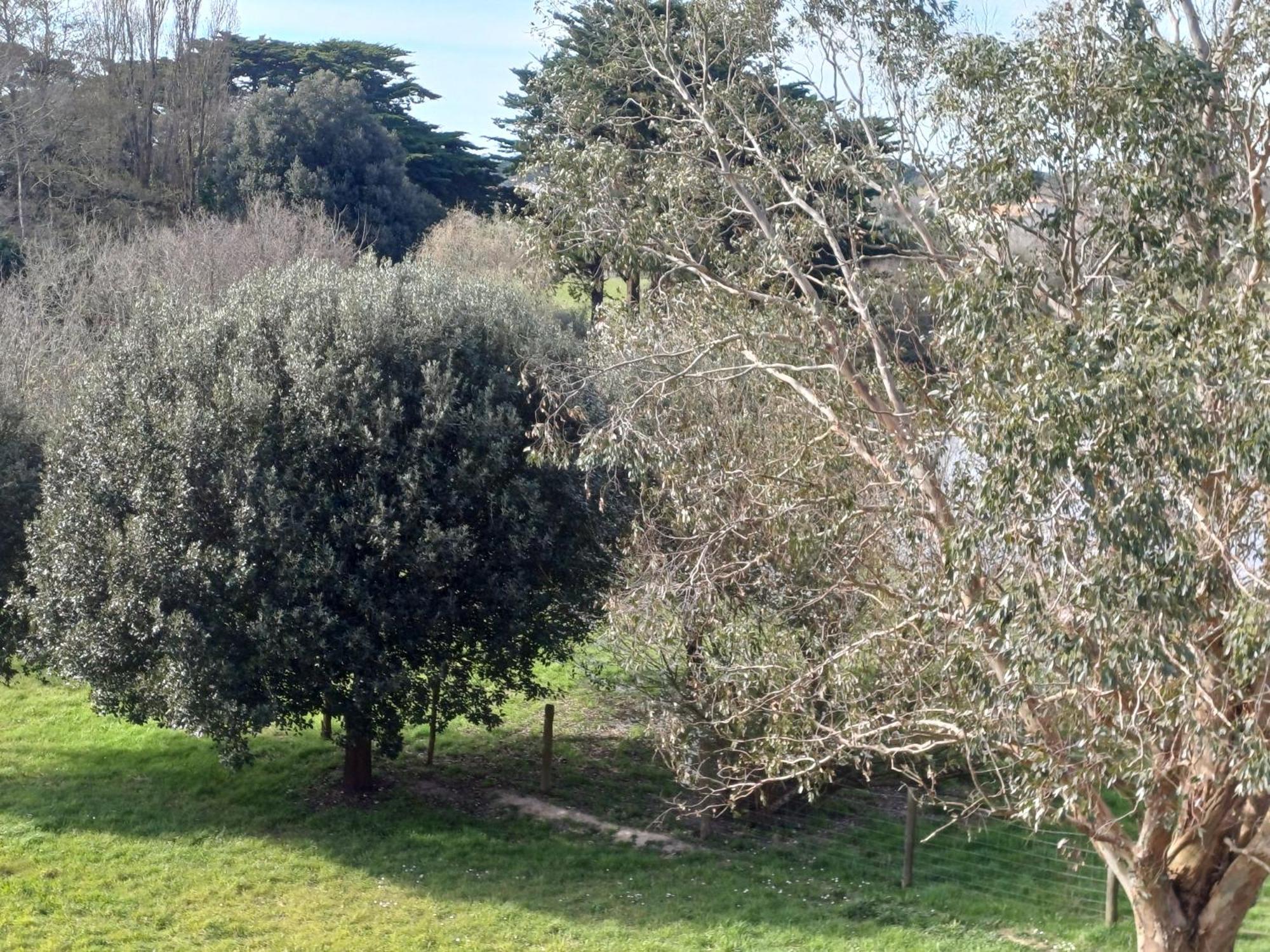 Hotel Éco-Domaine La Fontaine Pornic Esterno foto